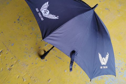 BB 专属雨伞